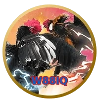 W88IQ